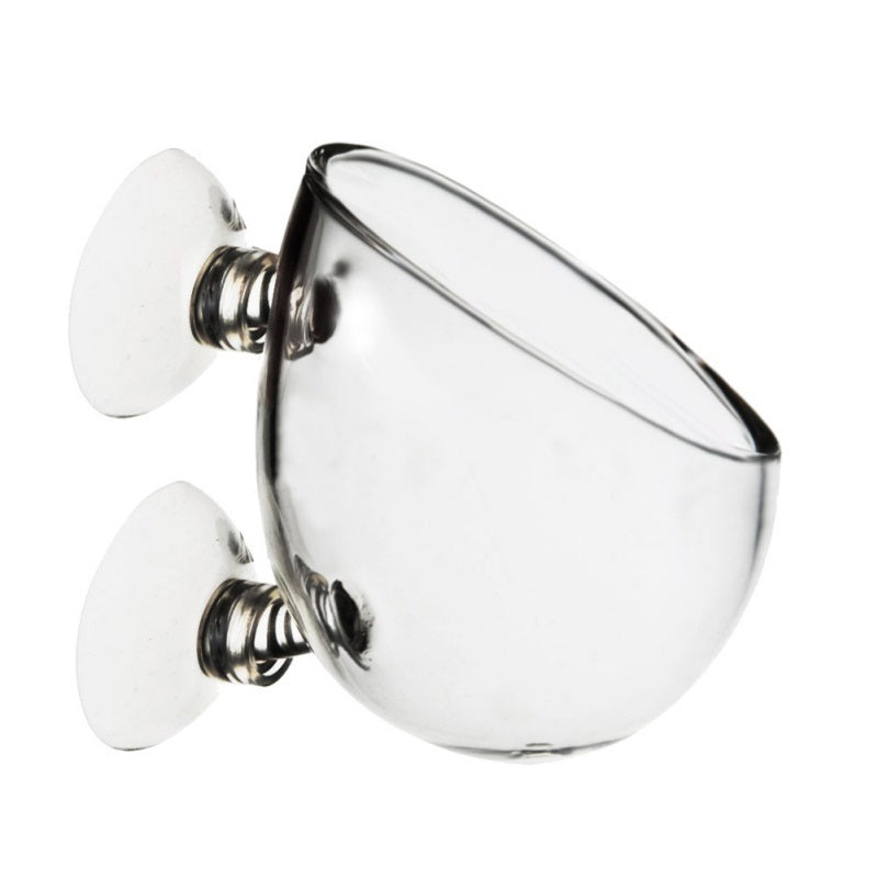 Glass Plant Pot