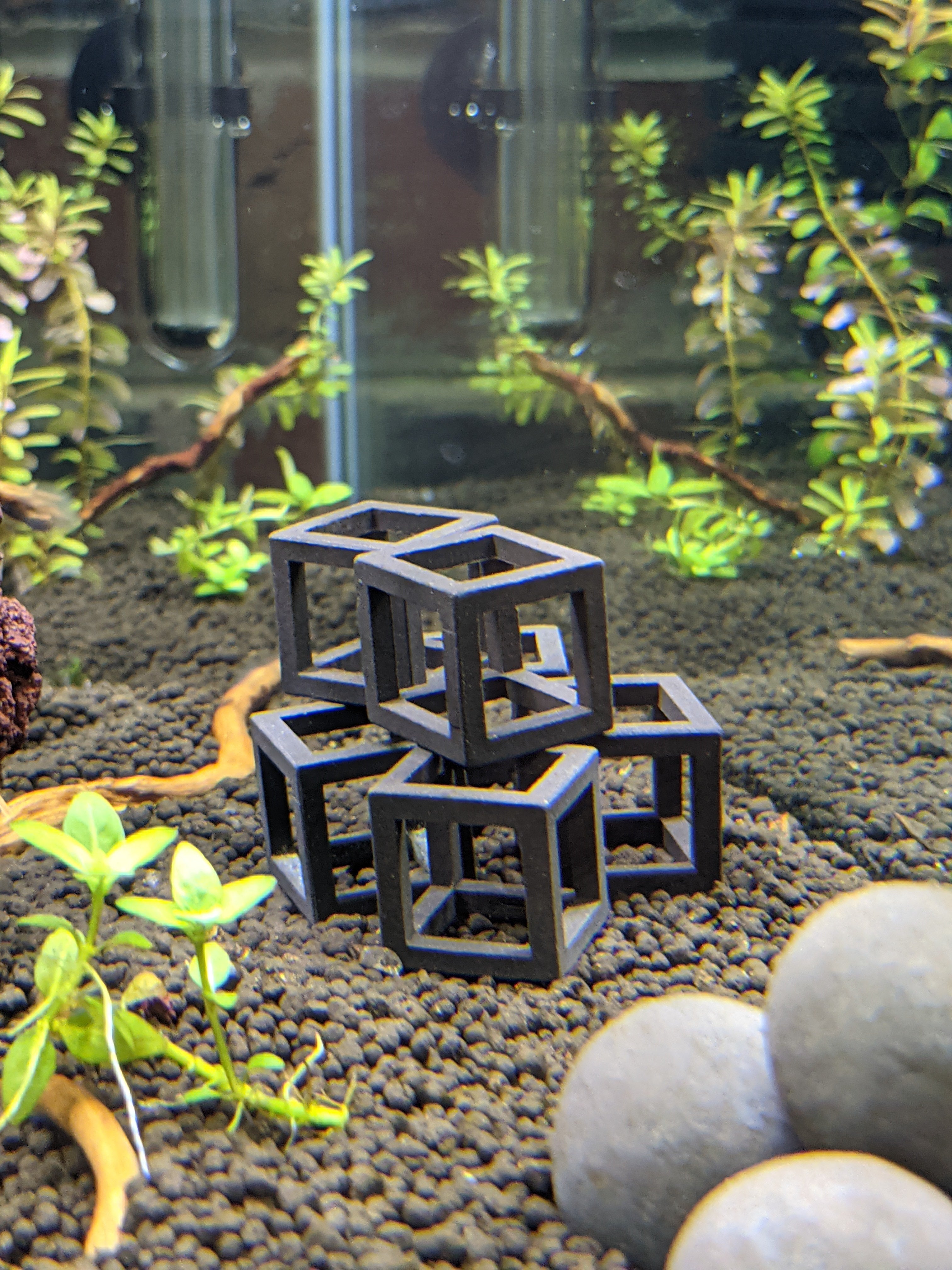 Shrimp Shelter Cube (5 Pack)