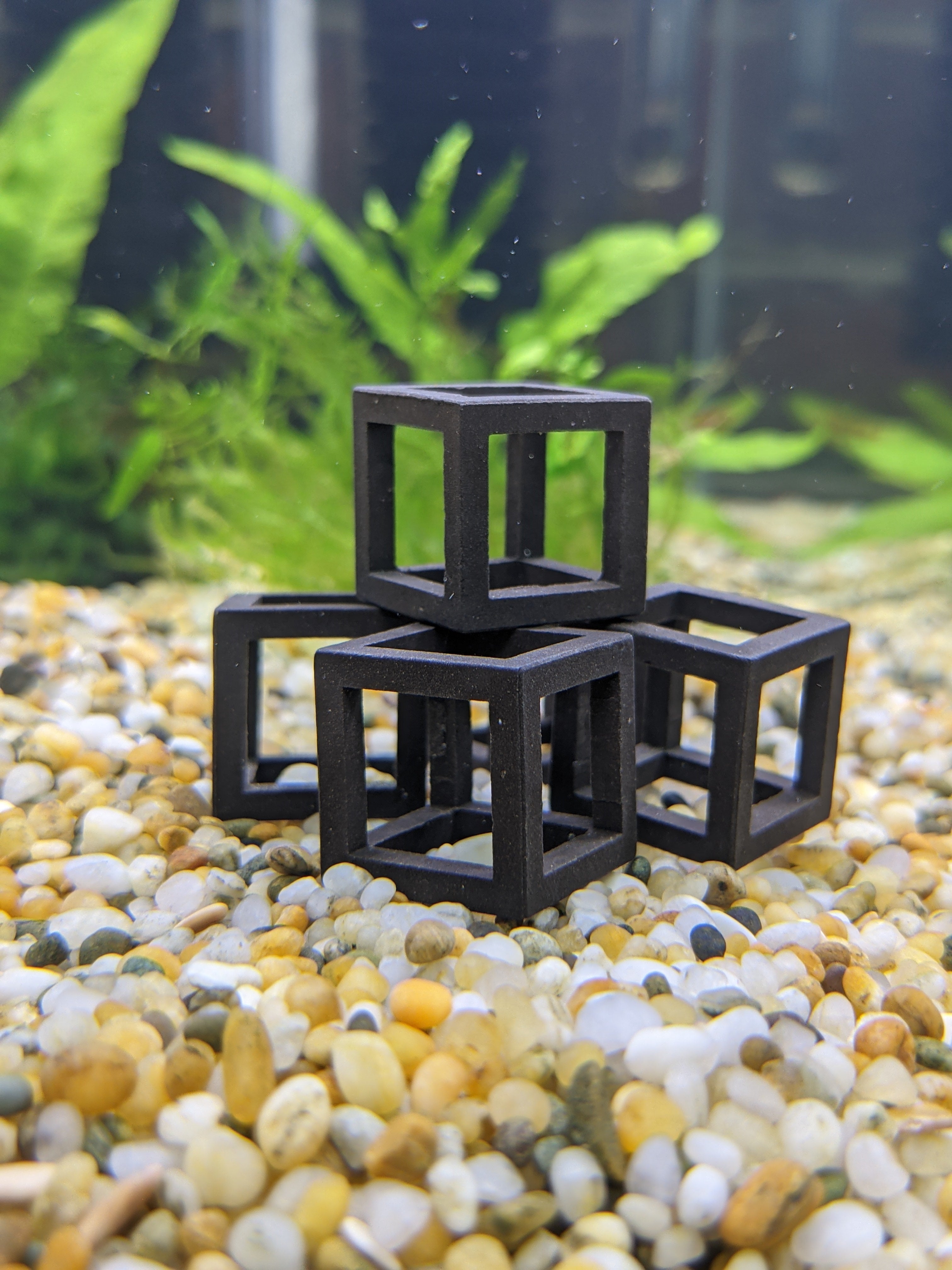 Shrimp Shelter Cube (5 Pack)