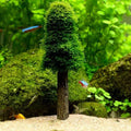 Moss Tree