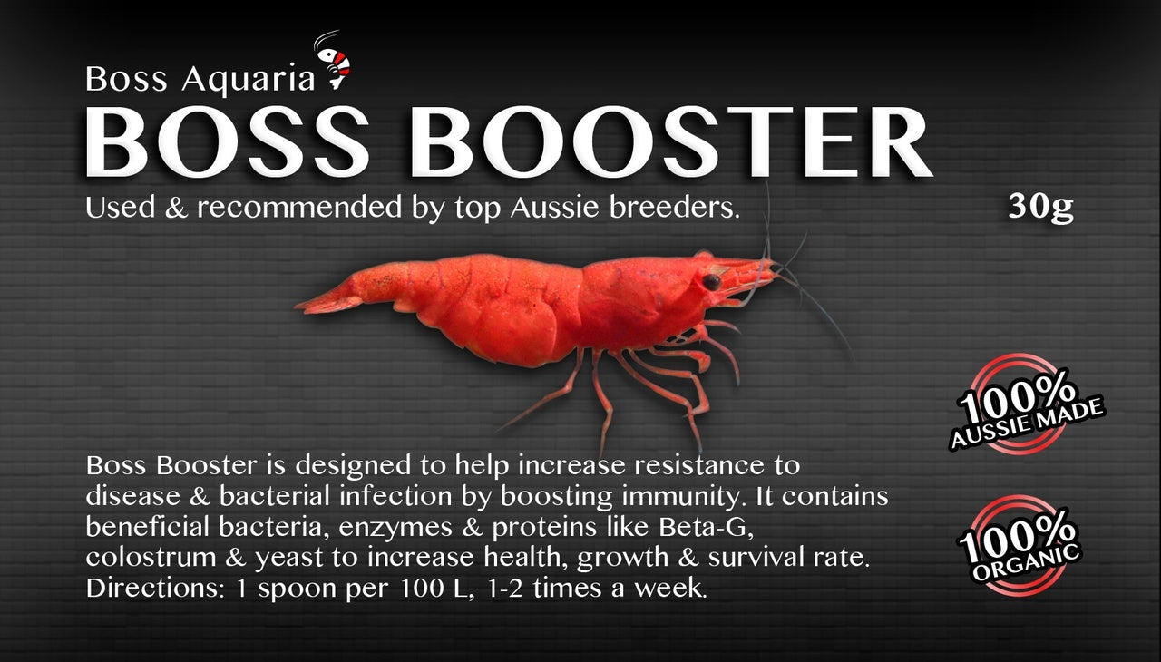 Shrimp Booster